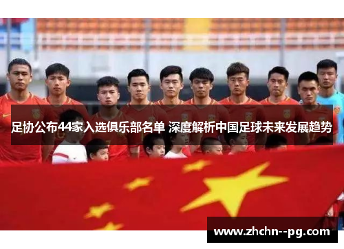 足协公布44家入选俱乐部名单 深度解析中国足球未来发展趋势