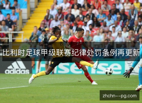 比利时足球甲级联赛纪律处罚条例再更新